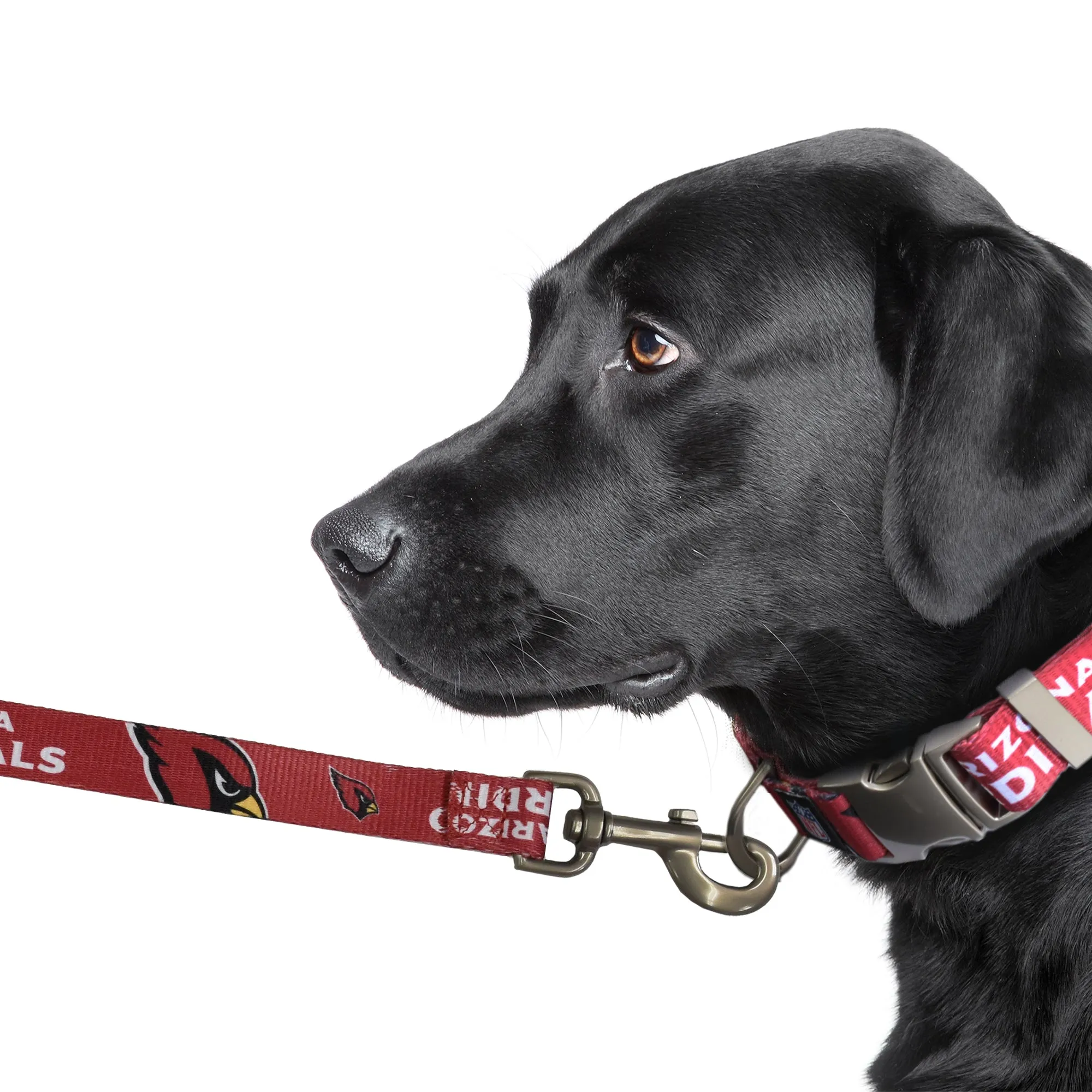 Arizona Cardinals Premium Pet Lead